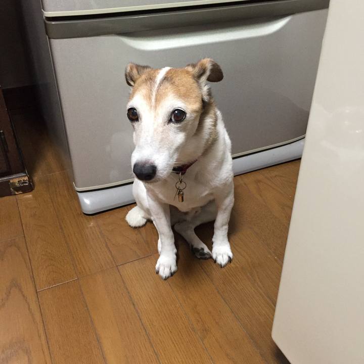 Acaf856d b3a2 4205 8728 e549f62245ea