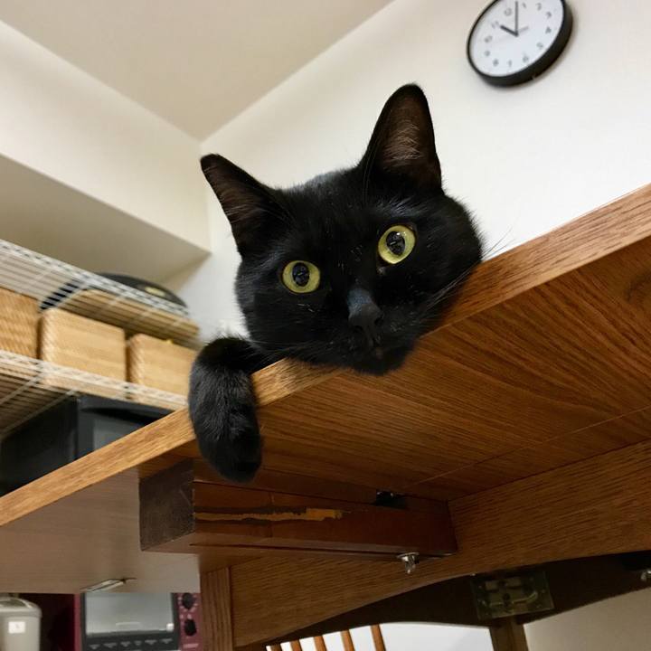 Acafbe3b 71ee 4ea7 a598 8f19b6d0b32f