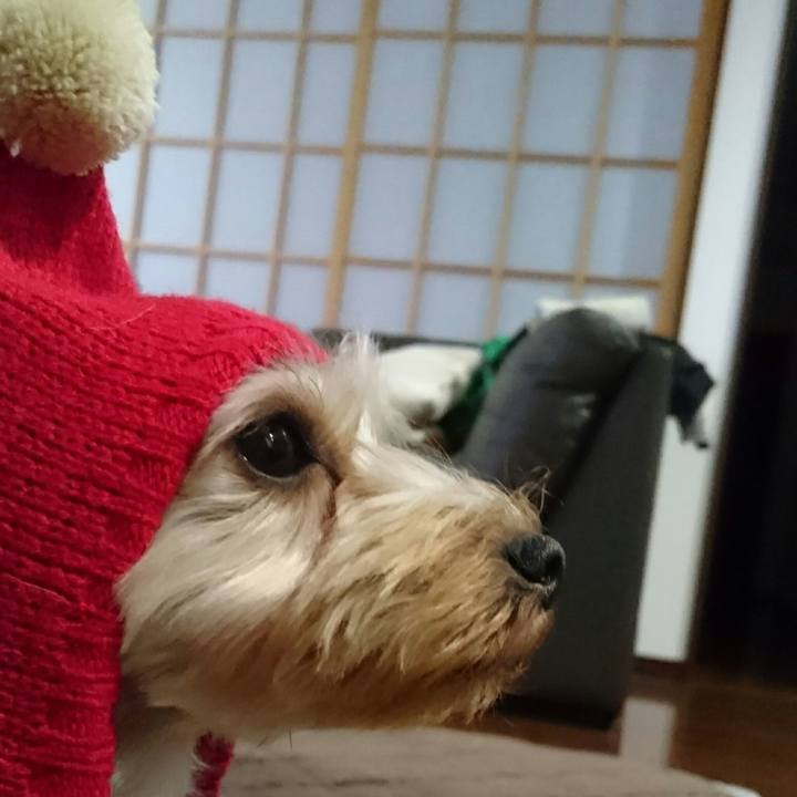 Acafd021 5141 4212 aa7c 5068279f93c2