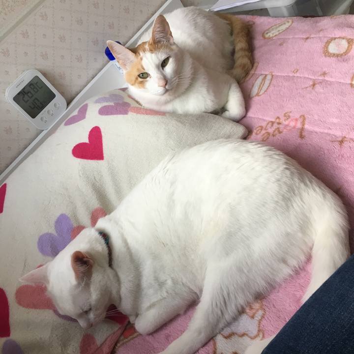 Acafdb04 a08e 420d a071 47142696a72b