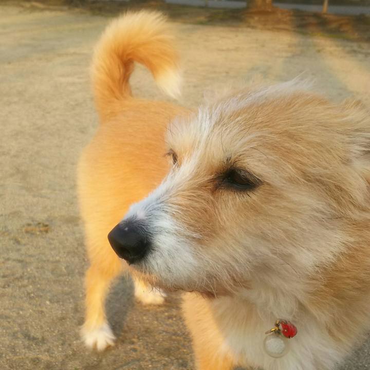 Acb027d1 8804 4b66 8633 39a1d7733068