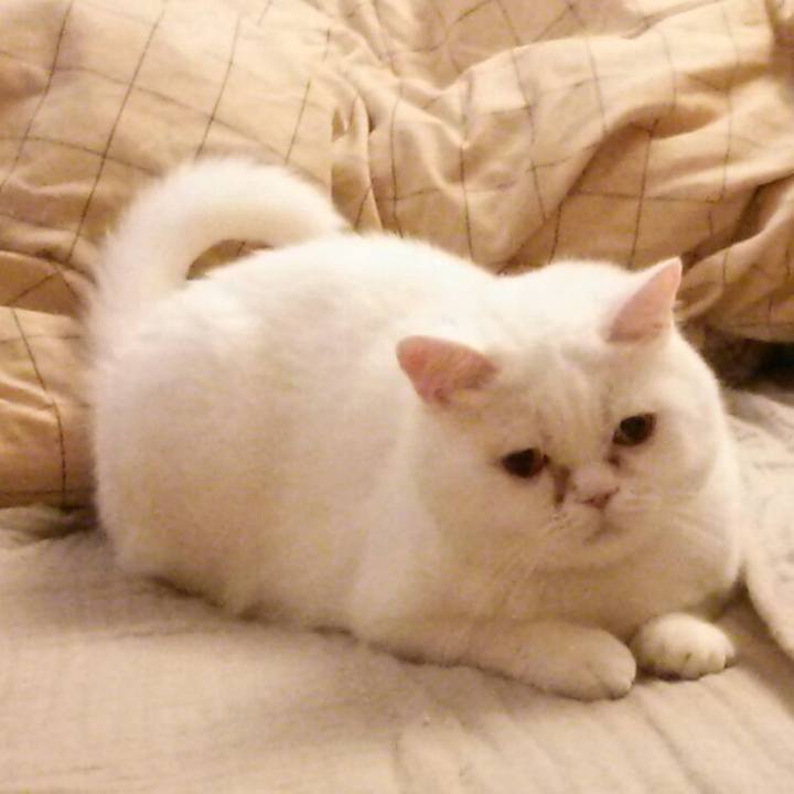 Acb03022 e776 4124 857a 515f34380732