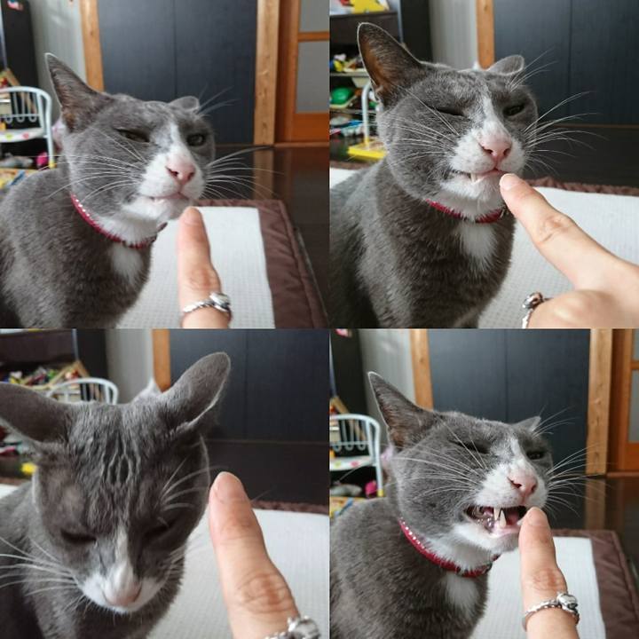 Acb0b3c1 9ed2 4d4f a75a 6e0c12031006