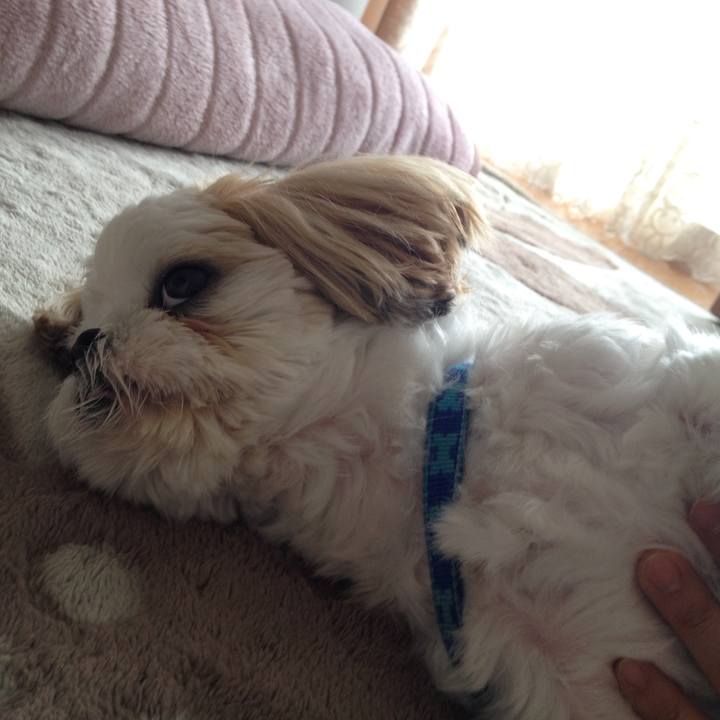 Acb11039 2434 441e 81f0 4103f8854cac