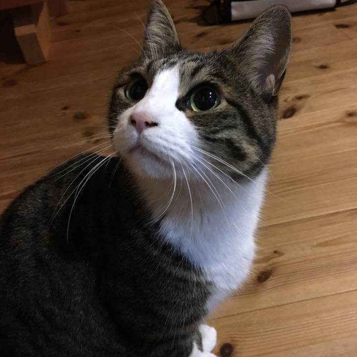 Acb1614d 6082 45ce b244 56a54c2a3058