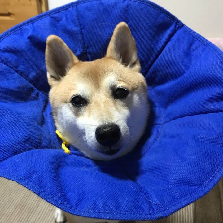 Acb16f61 8c1b 487e 9745 9149e4406c38