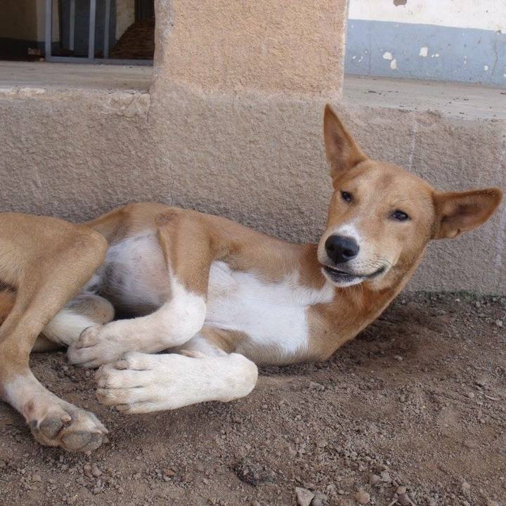 Acb1af70 7687 463e bd4d 13c900e0f155