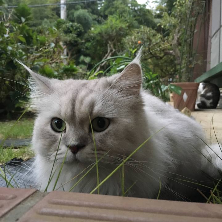 Acb1d647 3a8b 49ee 9a14 c72c7e53748b