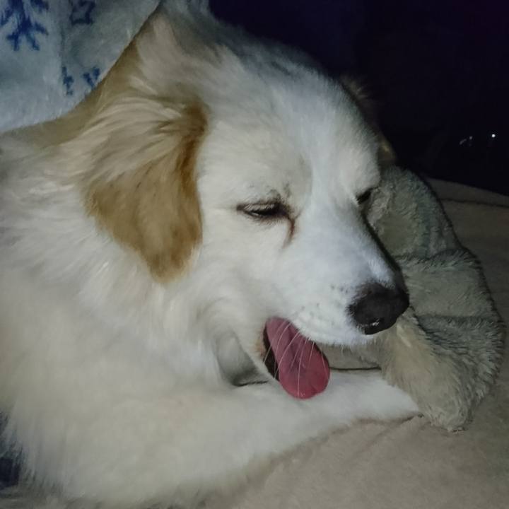 Acb1f1e3 468c 478f 87c4 de1ec4cb6c95