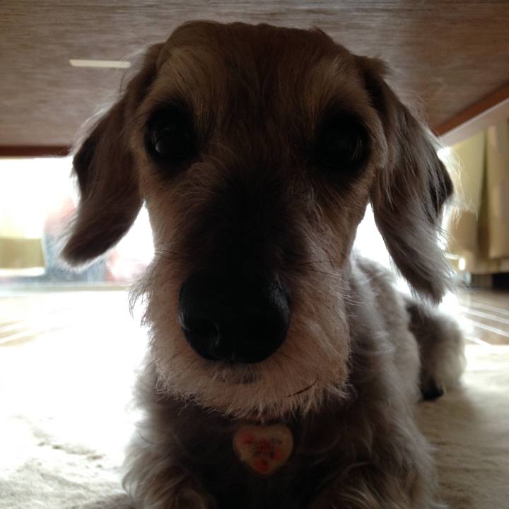 Acb203f2 c09d 4b34 8736 53bef0e27d53