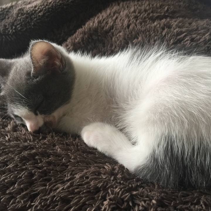 Acb3662e ed64 44af 8324 84fd5afdb4f9