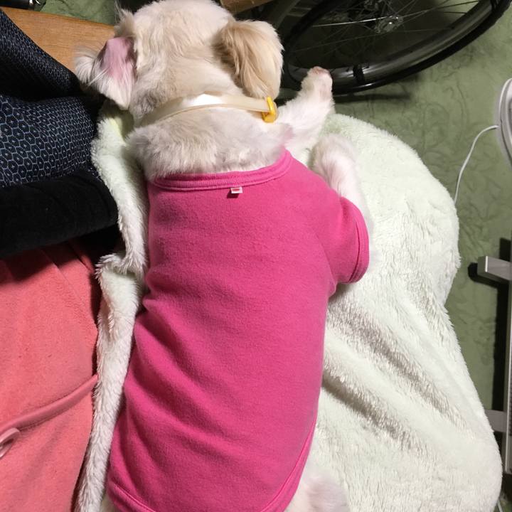 Acb40922 f901 4652 80b5 4bcf658e7b71