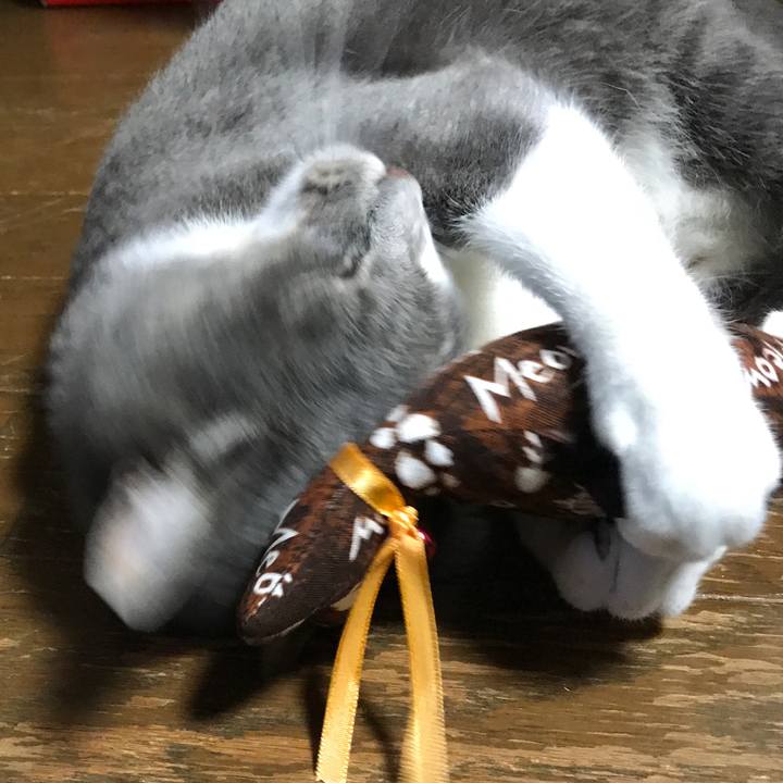 Acb50757 2017 4b61 8602 ebf4b857f34f