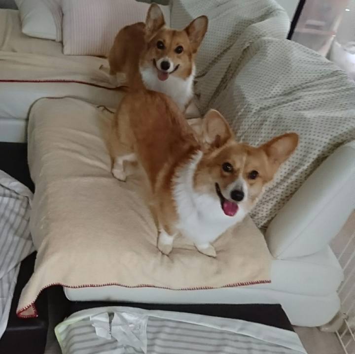 Acb62279 b93e 4f2a aa64 a6d6a0423f30