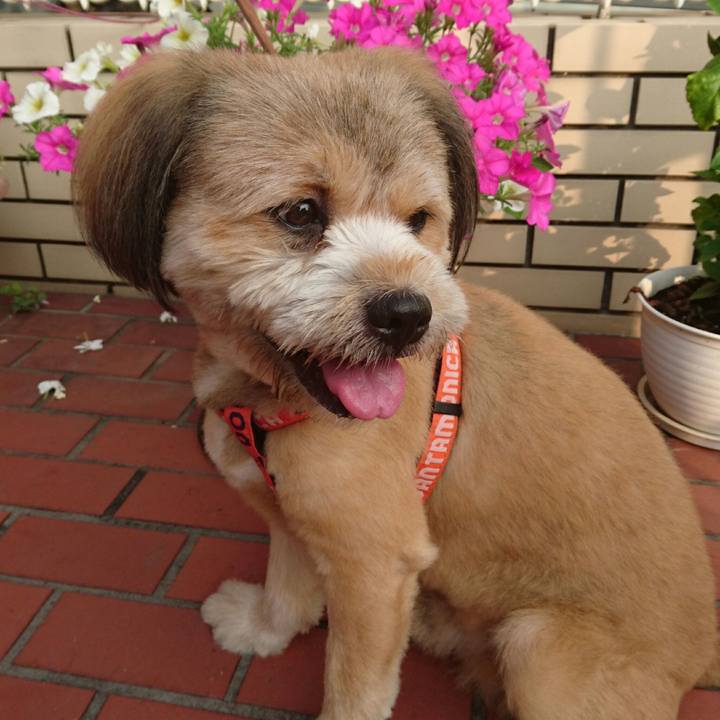 Acb6a349 0d8a 43dd aa7a 36dbeda7768b