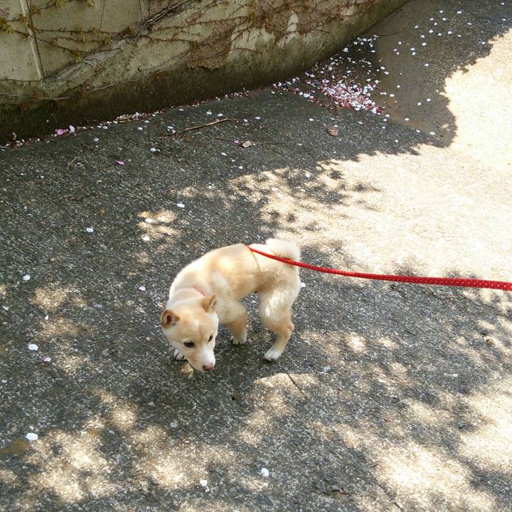 Acb7ccb1 9653 4600 8ec8 ede0060af6eb