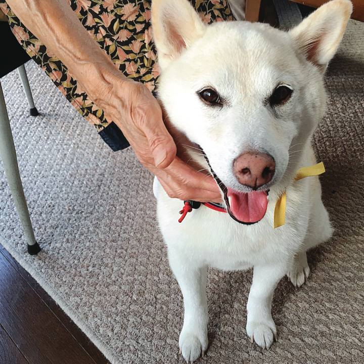 Acb7e1e1 a3f2 4359 a2e7 65e2faa59d55