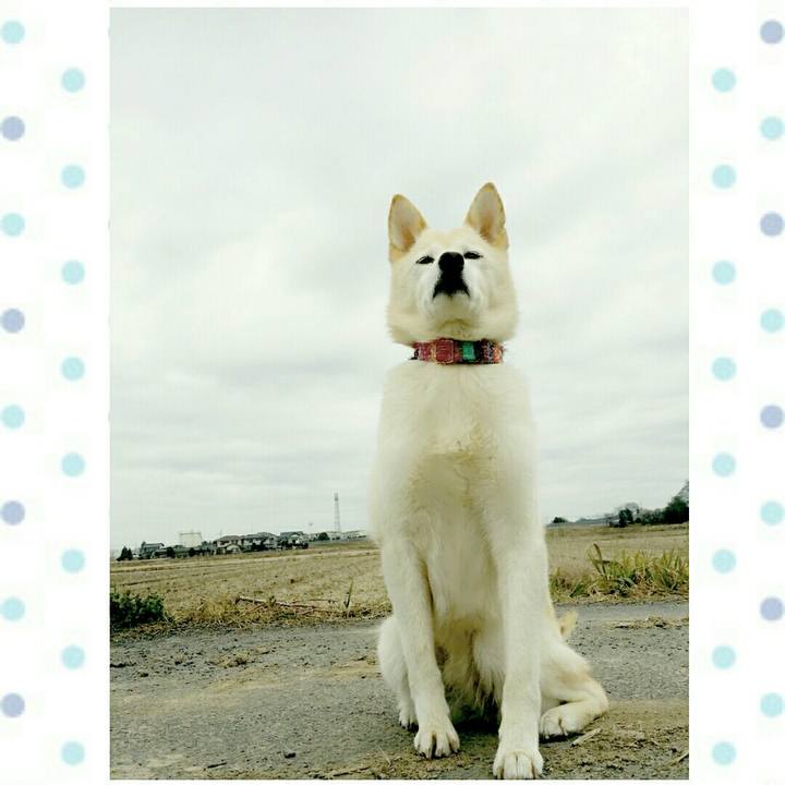 Acb97206 3f0a 43d1 ae94 f2337ac1e803