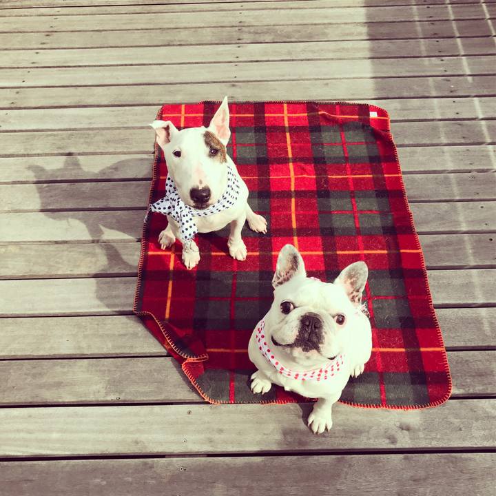 Acb97b14 b9bf 4be1 9d8d b88b3e57b7b8