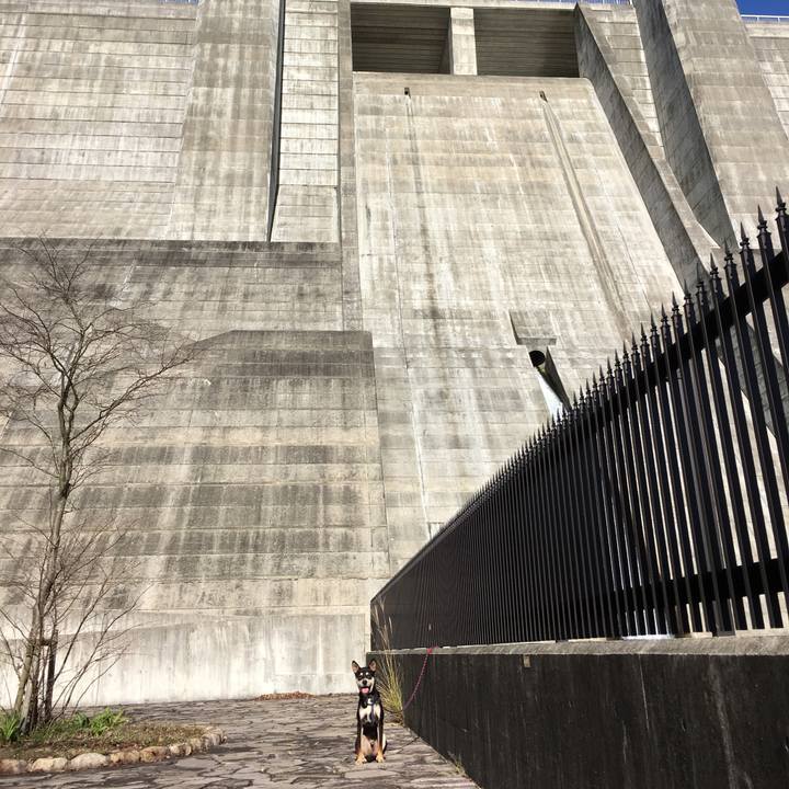 Acba119d 72fb 43cf ae89 be6458efcf19