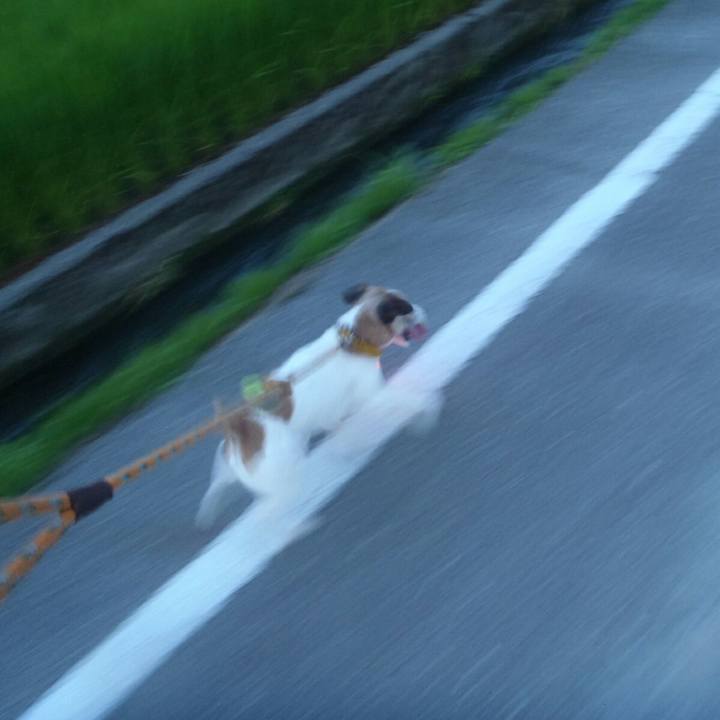 Acba1350 7b27 40f1 9443 c83aef64236a