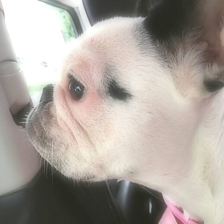 Acbc444d 7598 4eb3 aeb6 e10df23e379a