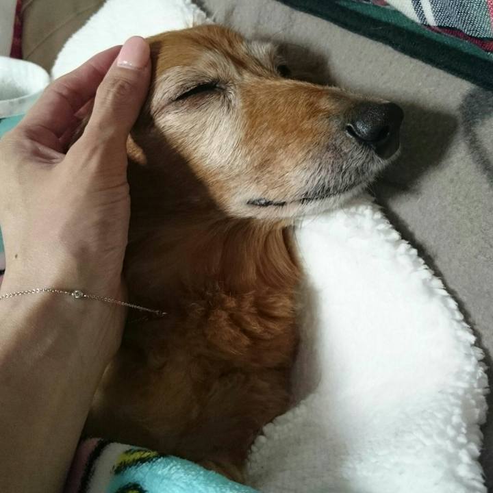 Acbcbaf7 f78a 4353 8bd4 1a7e55c4bffe