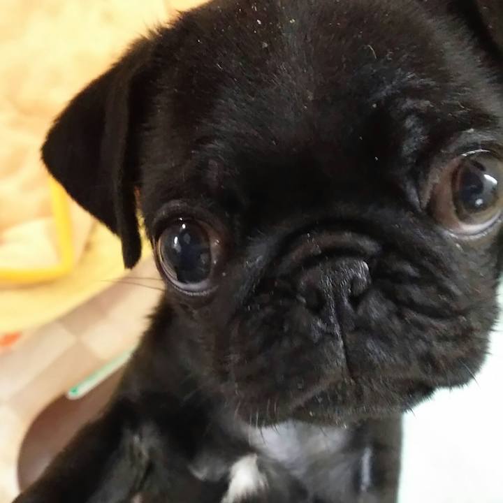 Acbd5f96 1304 4d31 8306 e480031a2650