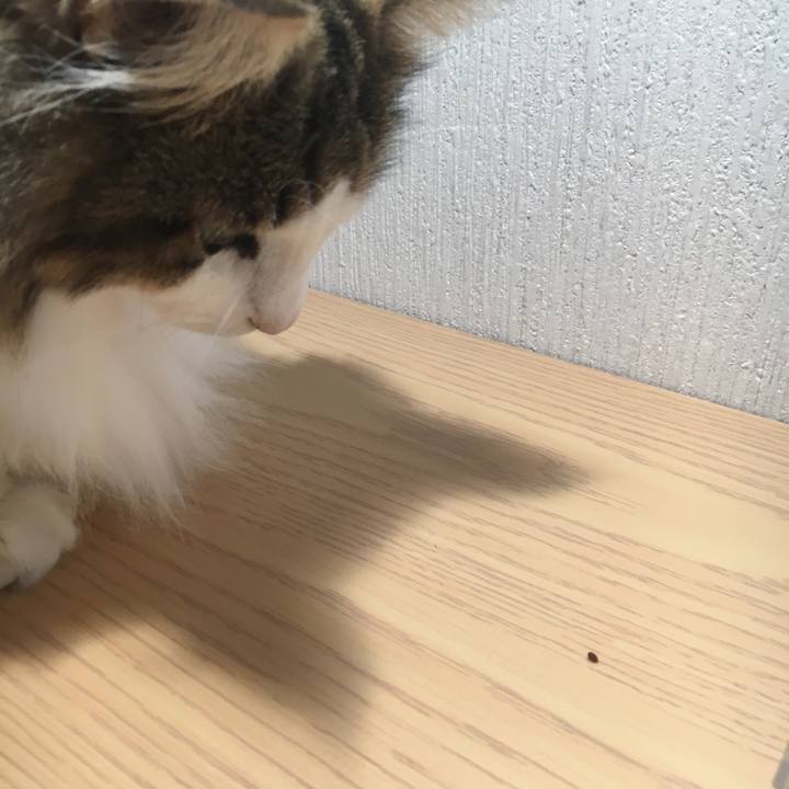 Acbe3090 e821 455d b691 c20870a09579