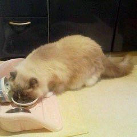 Acbe8ea0 bc2d 4a66 8163 142ebf064afb