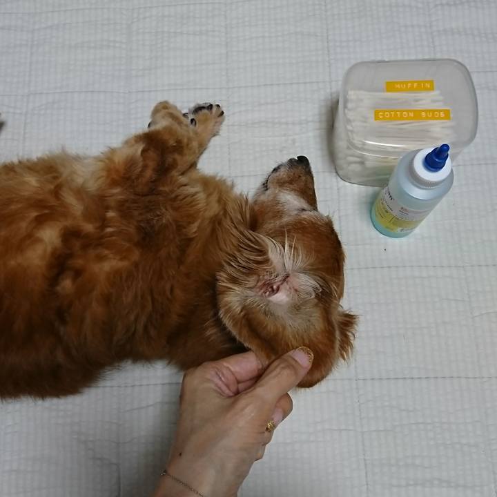 Acbeb6d9 4cda 4165 8b65 d58f416ff4ca