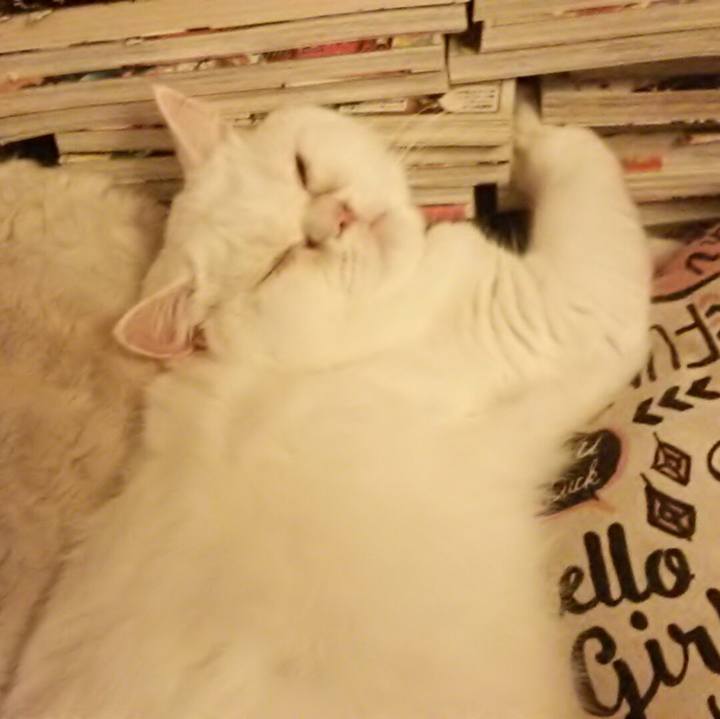 Acbecd96 5eba 4d22 bca3 d2a1d9492c84