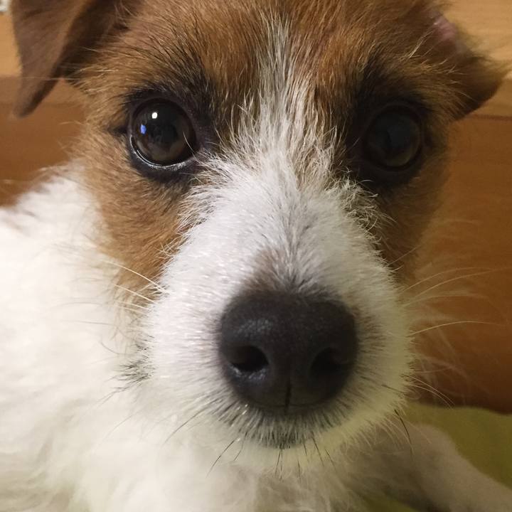 Acbef7e6 d852 4e37 ae04 0a1adbe1a356