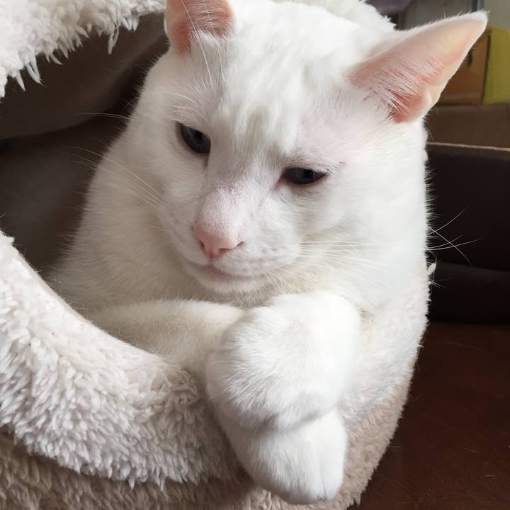 Acbf1a8b d507 41ad b5ec bfefe5dde1f5