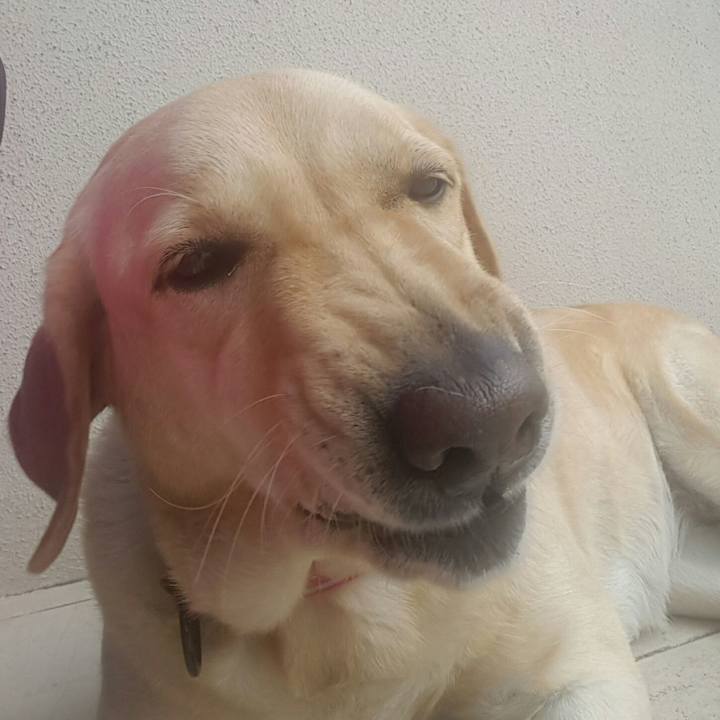 Acc05bdf c22d 44a2 989a ac729e37add0