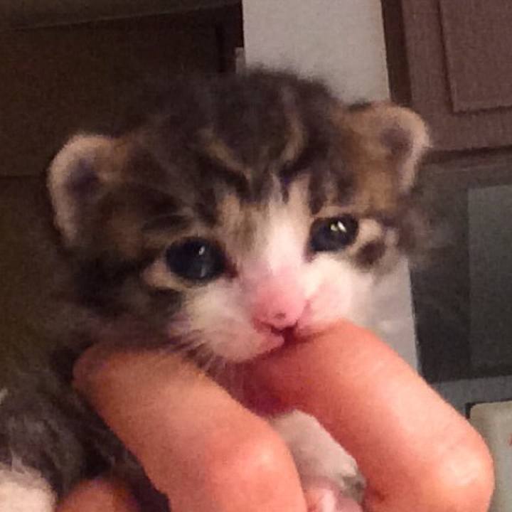 Acc1684c b33c 499a b08d 365a8aa6f080