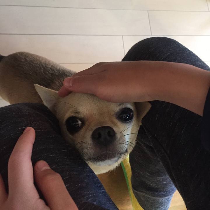 Acc1d8c6 0ea9 40f3 89b7 0be9253f250e