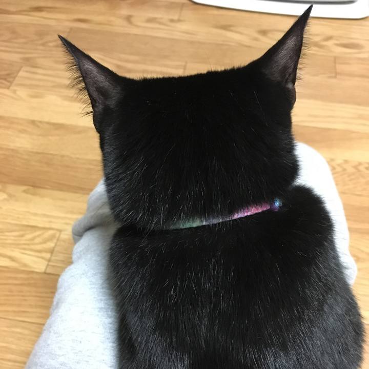 Acc27024 2490 4d1b a6a8 8d5e67d55984