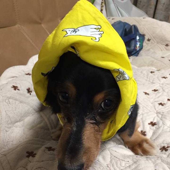 Acc28aae b3c0 48ea aa82 c1c07ec12d33