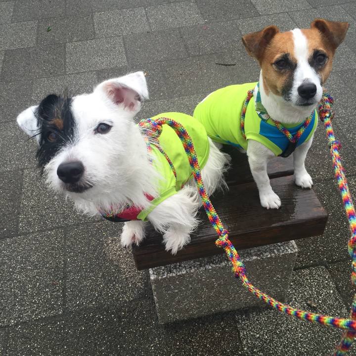 Acc2cc60 ee00 4ee6 a83a c4acb3d8cf2e