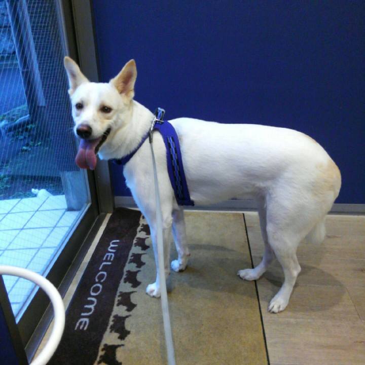 Acc3006e 98c0 48b9 992a d29e9f6abe48