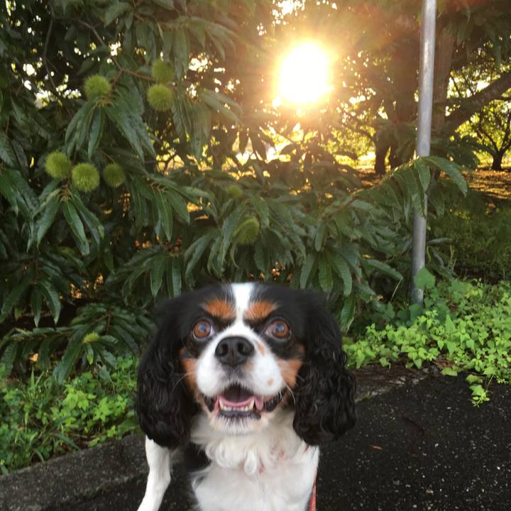 Acc363b3 c27d 4fd0 b310 4dbf5ebb8ed7