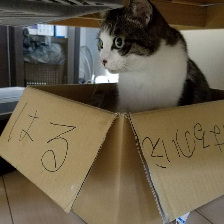 Acc3aa1d ee2e 4257 8f6e fc9446af8a7a