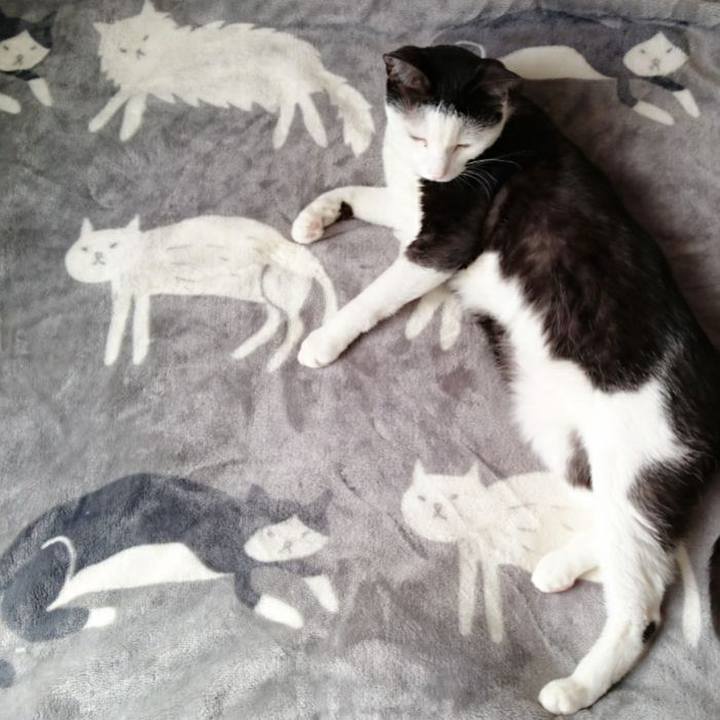 Acc42b3f 631b 467e 972f 14fef01f06bb