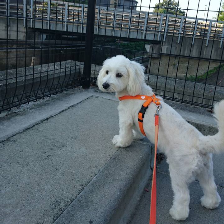 Acc44f7f 3e56 4eb3 92a1 a2ec726c29e0