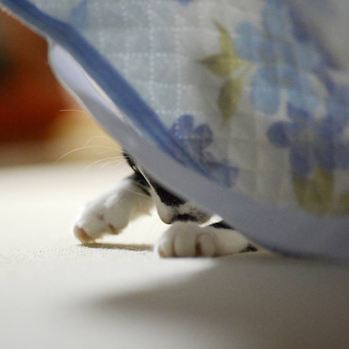 Acc513f0 8ce2 40d0 9f42 4a9ce3033642