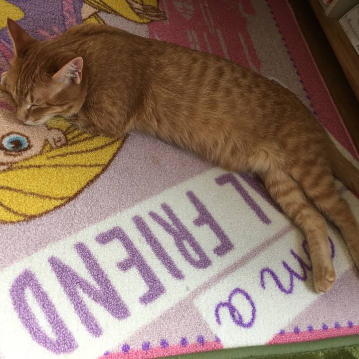 Acc52152 3f1e 4dfc 94a2 03a205afece5