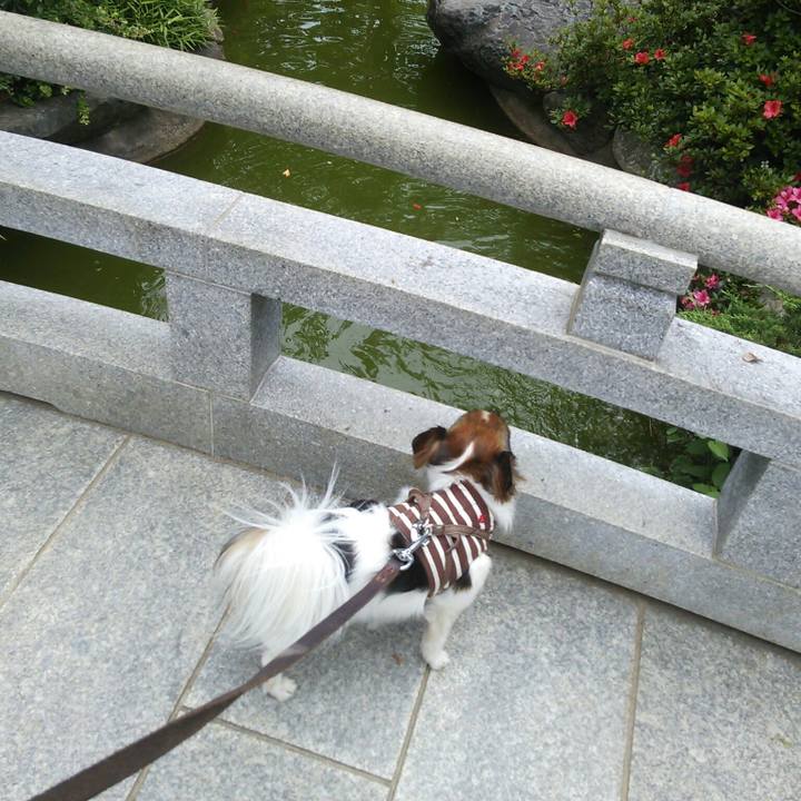 Acc533ad ad79 4549 9b6d 658b30c75b5c