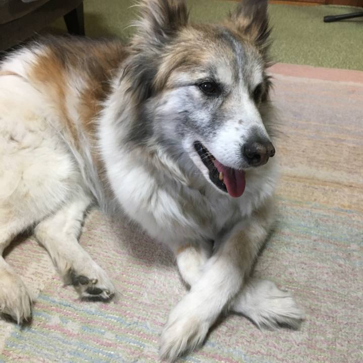 Acc550e0 1d1b 4c6f 9fc9 9a0a50f75b96