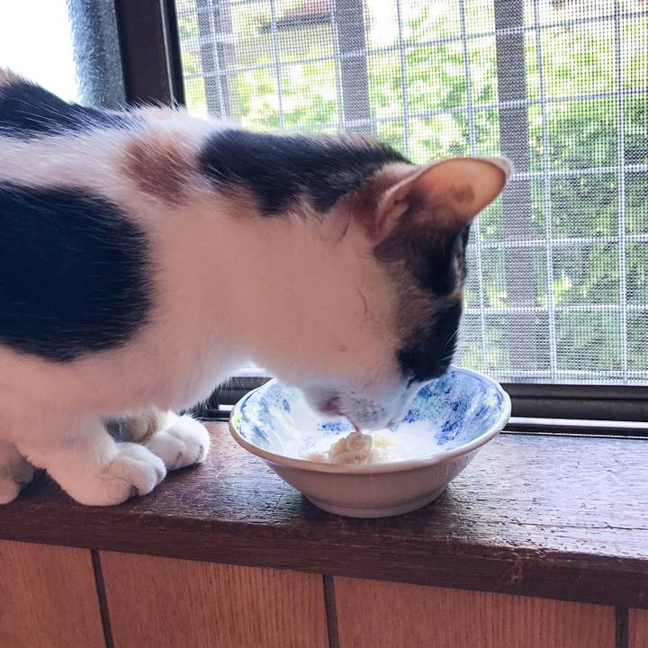 Acc5e42a dabe 45e5 8b29 0d141179d4c5